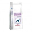 Royal Canin Junior Giant Dog Hot on Sale