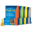 Prac-Tic Dog Online Hot Sale