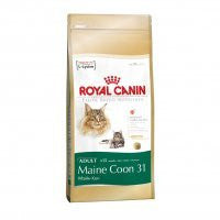 Royal Canin Maine Coon Adulto Sale