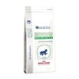 Royal Canin Pediatric Starter Small Dog Fashion