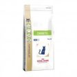 Royal Canin Diabetic DS Feline Online Hot Sale