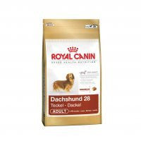 Royal Canin Dachshund Teckel Adulto on Sale