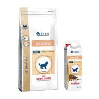 Royal Canin Weaning Feline Hot on Sale