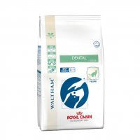 Royal Canin Dental DSO Feline Online Hot Sale