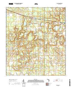 USGS US Topo 7.5-minute map for Wellborn FL 2021 on Sale