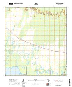 USGS US Topo 7.5-minute map for Weavers Station FL 2021 Sale