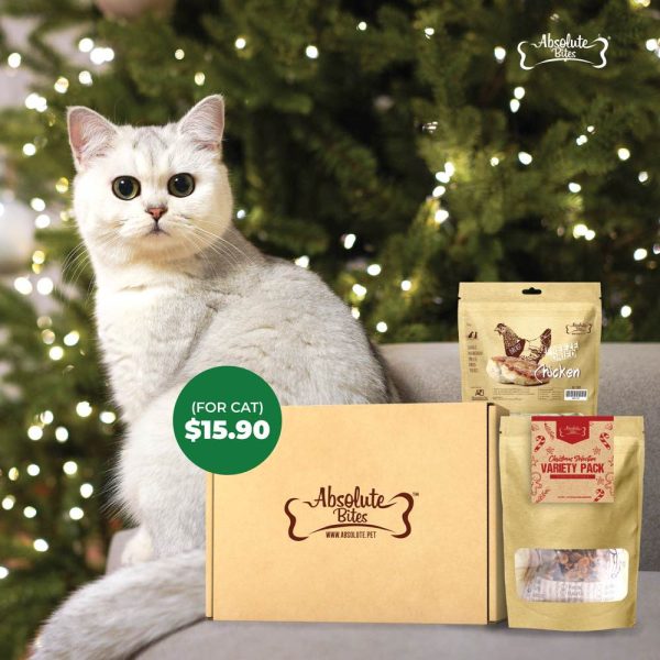 Absolute Bites Cat Treats Christmas Surprise Box Cheap