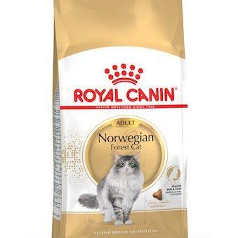 Royal Canin Norwegian Forest Adult Dry Cat Food 2kg For Sale