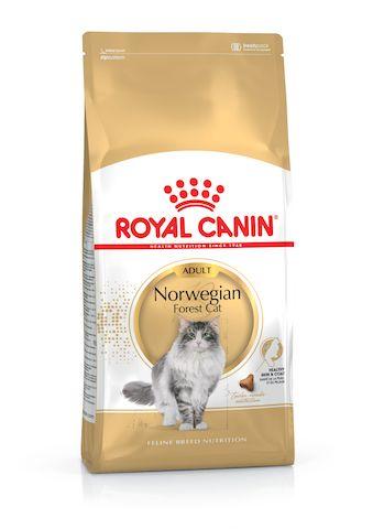 Royal Canin Norwegian Forest Adult Dry Cat Food 2kg For Sale