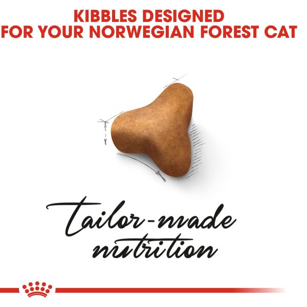 Royal Canin Norwegian Forest Adult Dry Cat Food 2kg For Sale