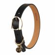 Moshiqa Hachiko Leather Dog Collar (Black) Supply