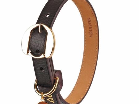 Moshiqa Hachiko Leather Dog Collar (Brown) on Sale