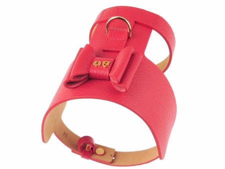 30% OFF: Moshiqa Bijou Leather Dog Harness (Red) Online