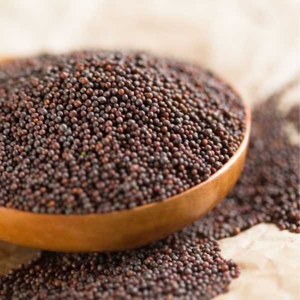 iSpice | Mustard Seed Brown | 7.8 oz | Gourmet Spice | Kosher| Pungent flavor Online now