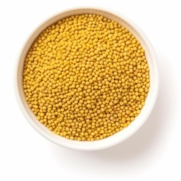 iSpice | Mustard Seed Ground | 5.1 oz | Gourmet Spice |Kosher | Spice staple Fashion