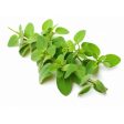 iSpice | Marjoram Leaves | 1 oz | Premium Herbs | Kosher | Subtle Herbaceous Flavor Online Hot Sale